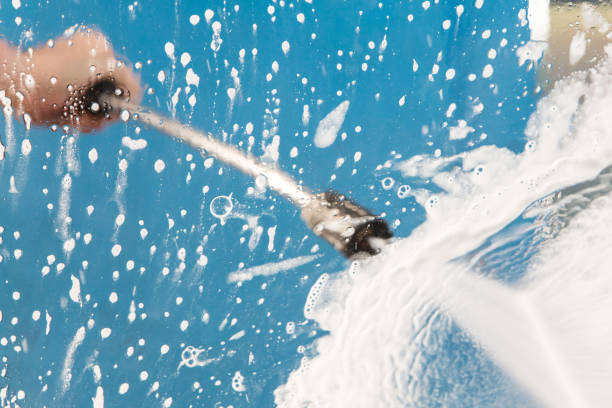 Animal Enclosure Cleaning in Belfair, WA